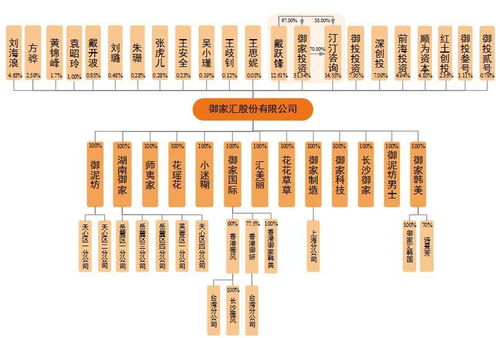 御家匯IPO周三上會 年入11億背后，面膜業務與軟件及輔助設備批發的商業邏輯